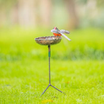 Roodborst waterschaal op driepoot